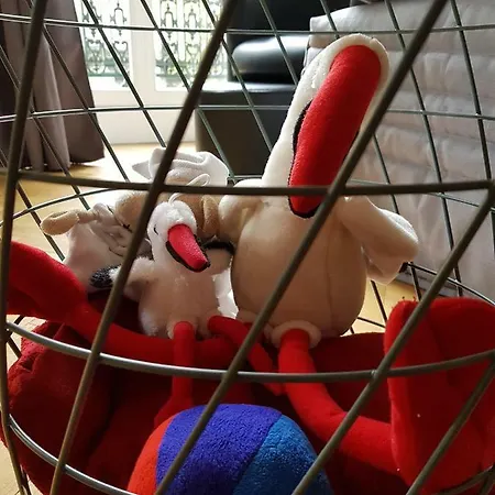 Apartament L'eurosebastopol Strasburg